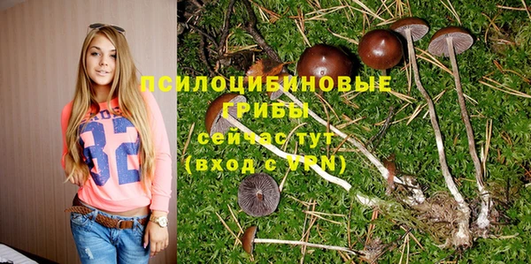 мяу мяу кристалл Елабуга