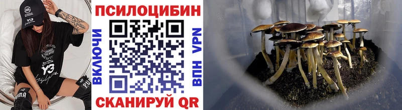 закладки  Калининец  Псилоцибиновые грибы Psilocybe 